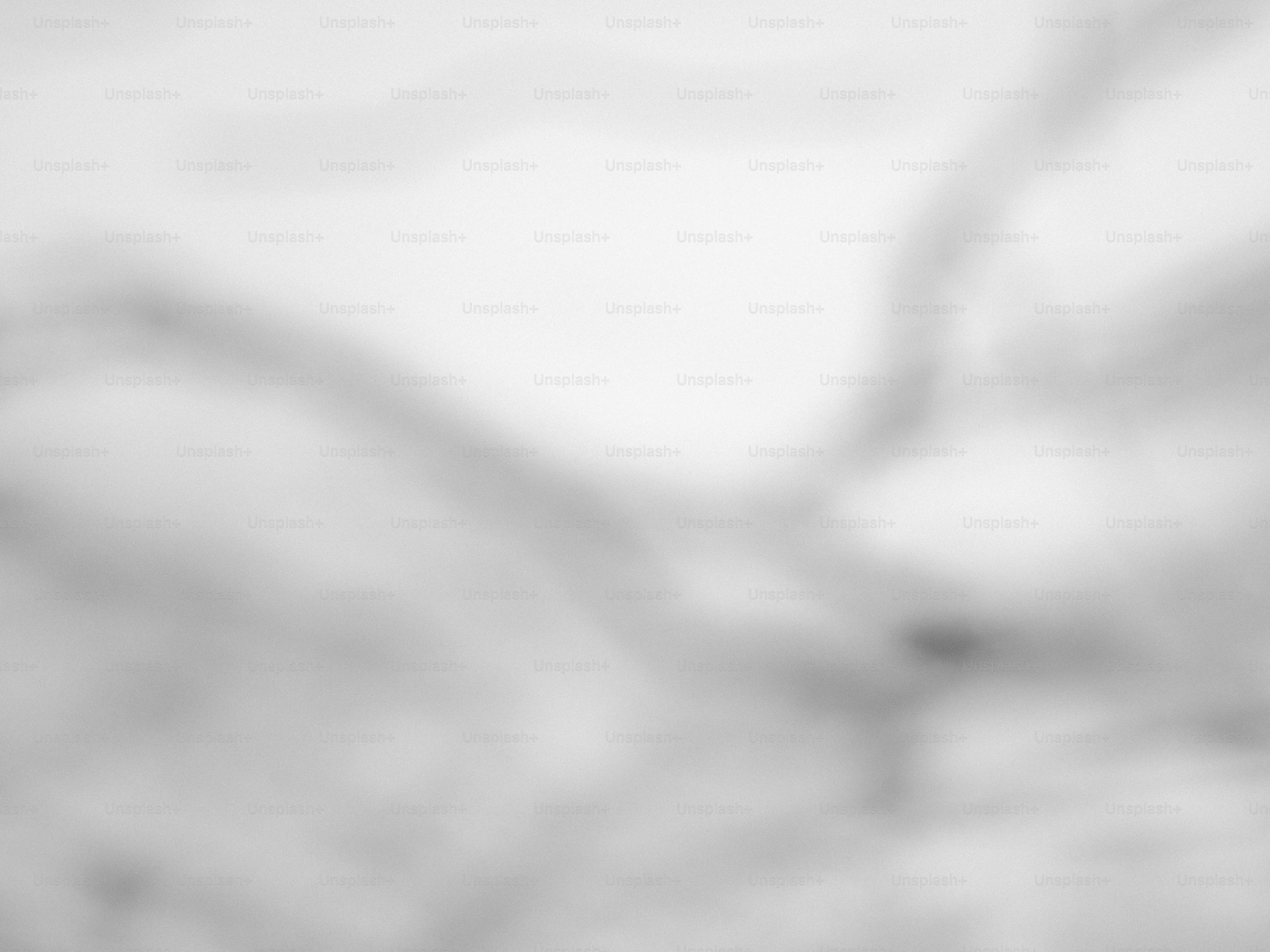 Blurred gray and white abstract background.